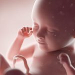 fetus-unborn-baby-abortion-pro-life-prolife-getty-640×480