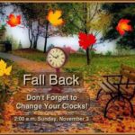 FALL back, then Spring forward